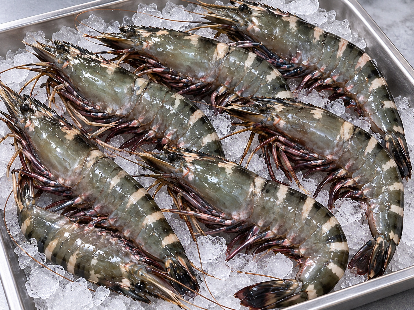Tiger Prawns टायगर कोळंबी