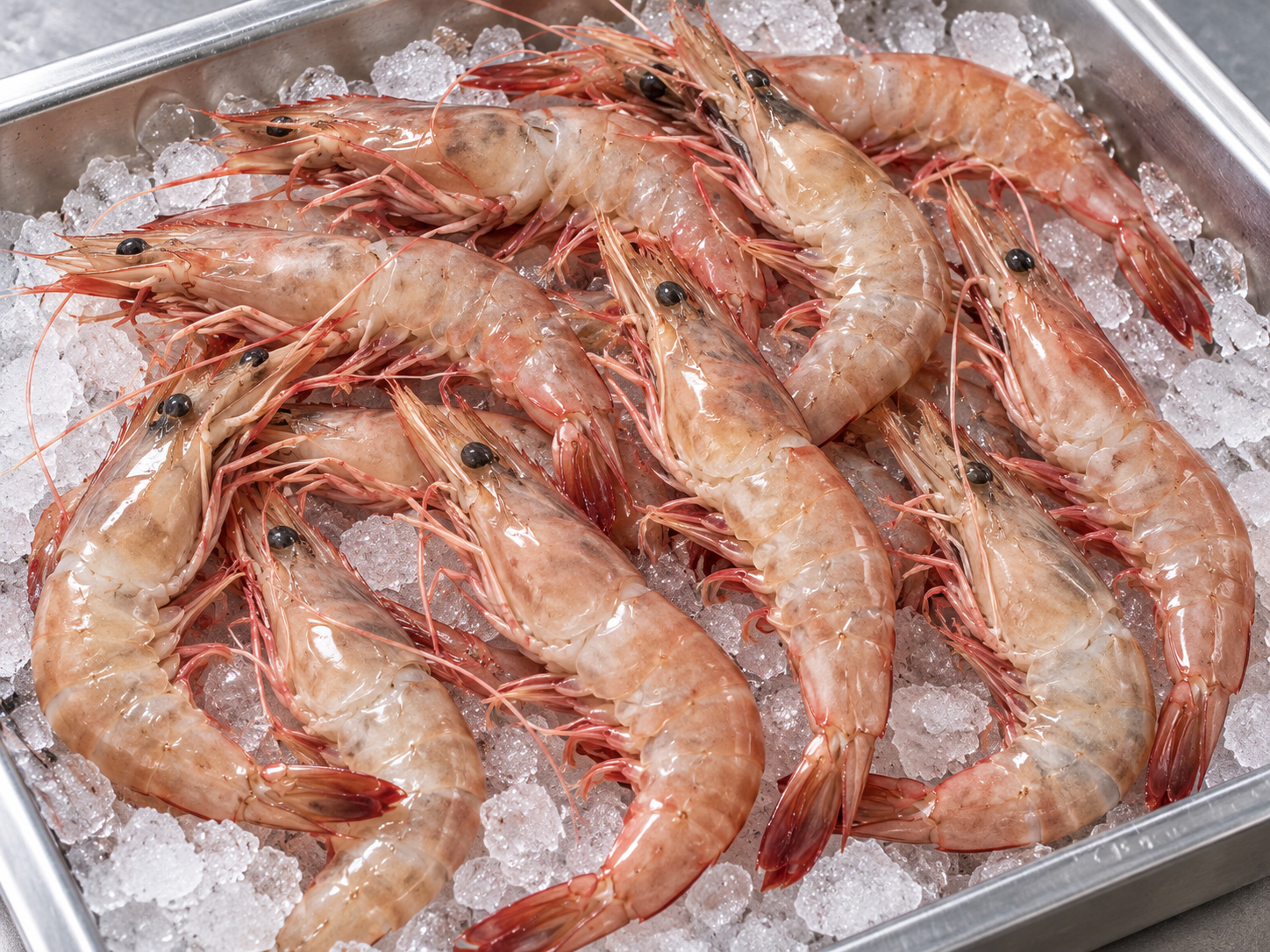 Red Prawns (35-45 pcs) लाल कोळंबी