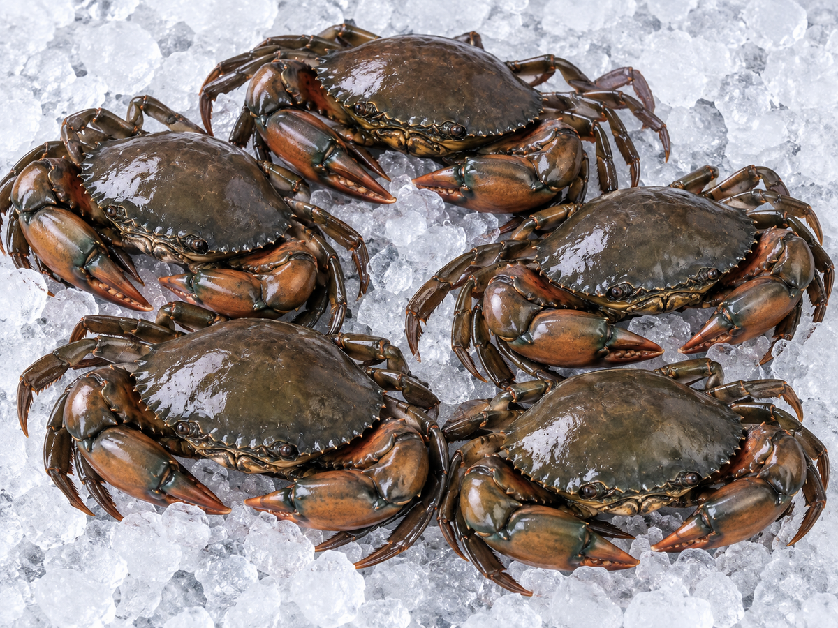 Crab खेकडा 4pcs