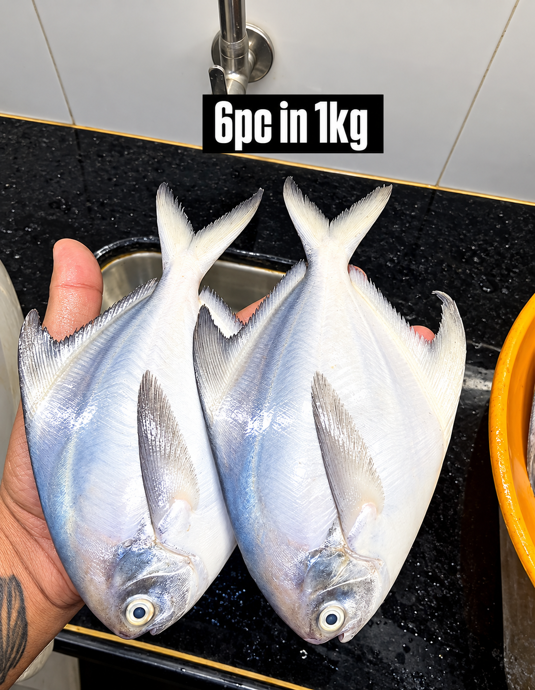  Pomfret medium (6pcs in 1kg)
